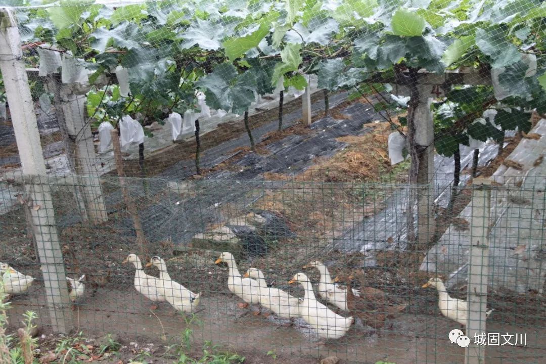 微信图片_20220718205007.jpg 图片